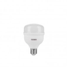 12544 - LAMP ALTA POTENCIA  20W 6500K TASCHIBRA